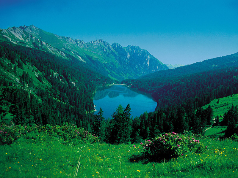 our-strange-yet-beautiful-planet:  Arnensee Lake, Switzerland   The waters of Arnensee