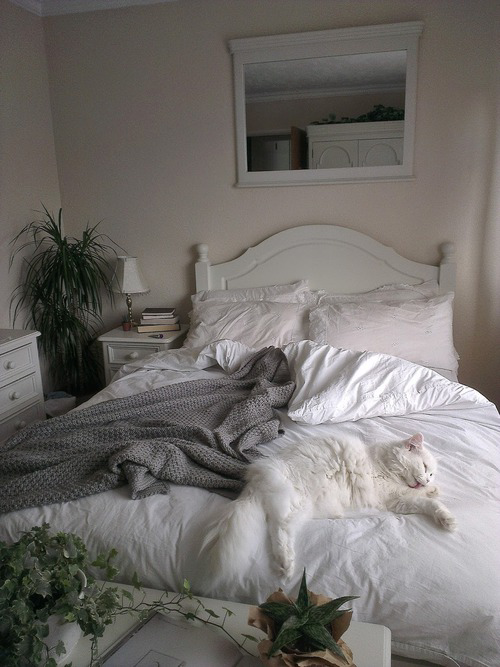 This would be the perfect mornin’  &lt;3