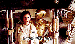 reyamidala:  Luke said those strong instincts of hers served as proof of the Force, evidence that it was working through her all the time.  (Bloodline) Bonus: 