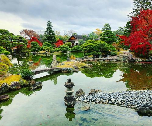 ⛳️1559. 桂離宮 Katsura Imperial Villa Garden, Kyoto 今日は＼いい庭の日 ／ ということは『おにわさん』も公開して3年が経ちました 東京の都立9庭園では今年