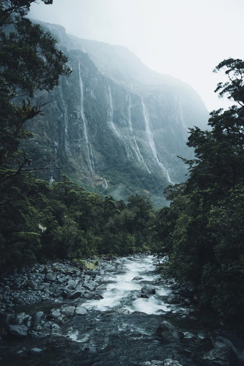 Heavy rain and endless waterfalls cascading down the hillsides | hannes_beckerLocation: Fiordland Na