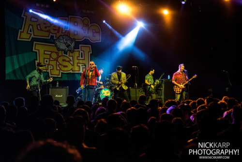 Reel Big Fish at Playstation Theater in NYC on 1/18/17.www.nickkarp.com