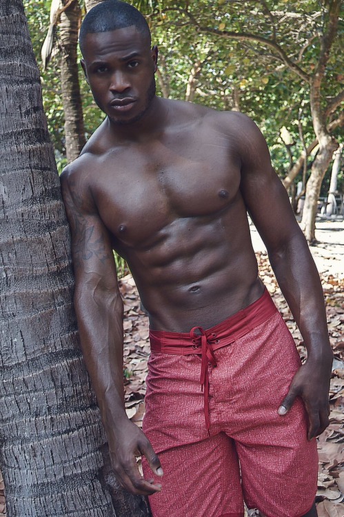 https://lennyperdomo.tumblr.com/post/150002598020