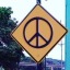 hippie-self-shippie