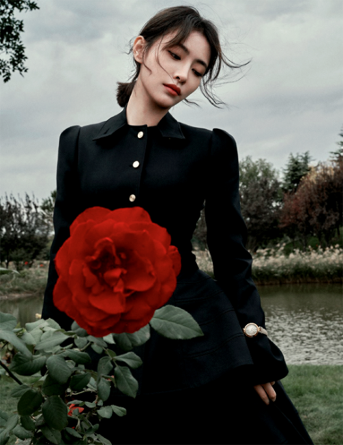 zhaoxiaotangs