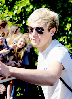 niallofcourse:  50 days of Fetus Horan - Day 6 