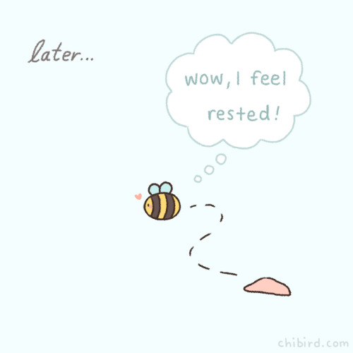 chibird:Be kind to any resting bees you find. ♡ They will appreciate it very much and bless you late