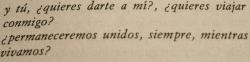 hachedesilencio:  Historia de amor de Erich Segal