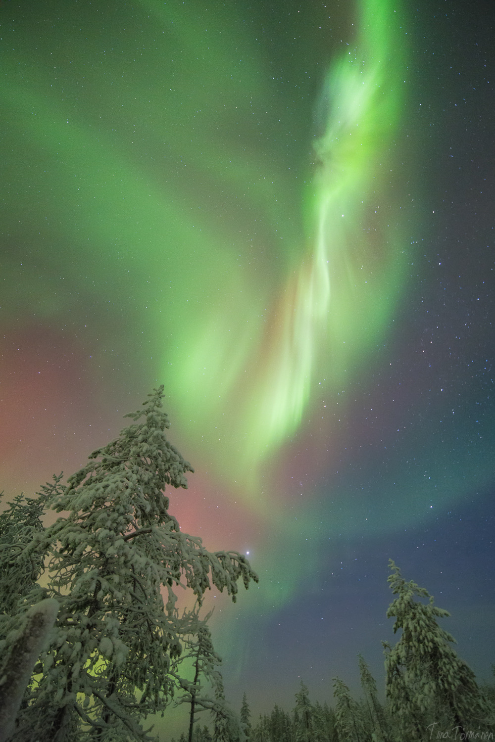 tiinatormanenphotography:  X - Mas Auroras.  23th Dec 2014, Southern Lapland, Finland. 