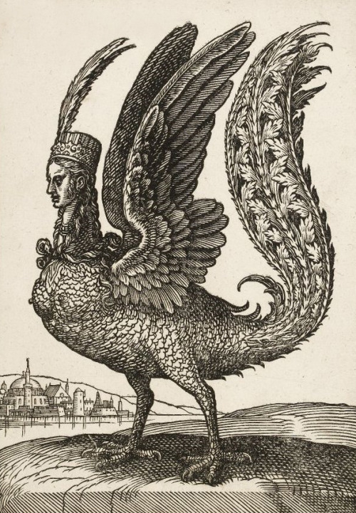 deathandmysticism:Melchior Lorck, Harpy, ca. 1580