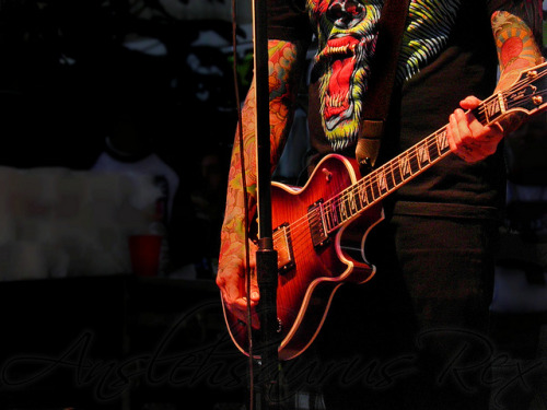 daysofbands-and-cutethings:  ADTR by anslehsaurus on Flickr.