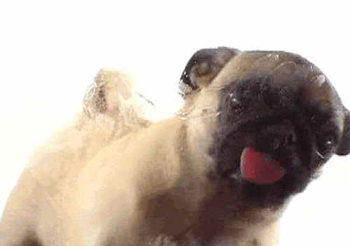 pinifs:  Best Gif’s Pictures!!?