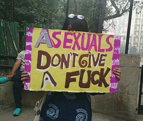 sillypander:madhurphil:Delhi Queer Pride 2017 ️‍These people are doing it right.