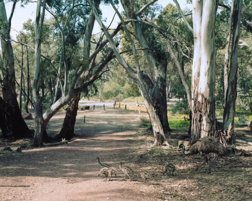 The Flinders Ranges, September 2017