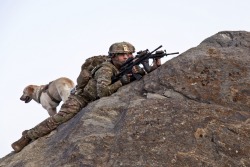 gunrunnerhell:  Canine Overwatch U.S. Army Staff Sgt. Sean Pabey, truck commander, Sgt. James Carlberg dog handler and his dog Staff Sgt. Abby, assigned to 1st Platoon, Apache Company, 3-15th Infantry Brigade, provide overwatch from the mountain tops