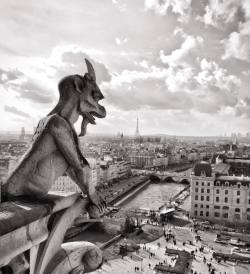 at Cathédrale Notre-Dame de Paris