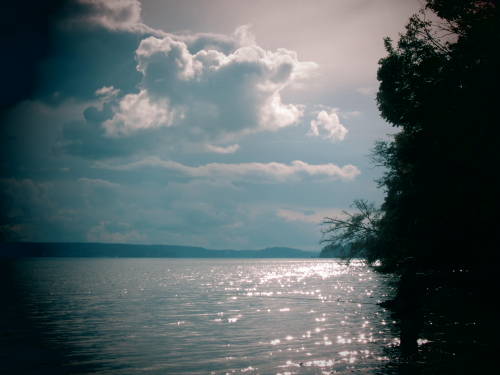 sound fishing || Puget Sound, WA by: jml