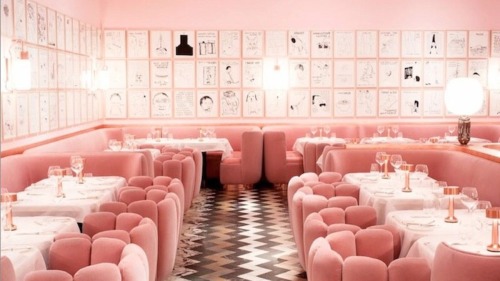 Sketch Gallery, David Shrigley & India Mahdavi, London