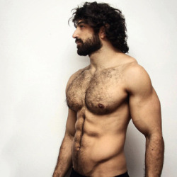 hairygaymen:  Hookup with a hot guy tonight: http://bit.ly/1NqUphM