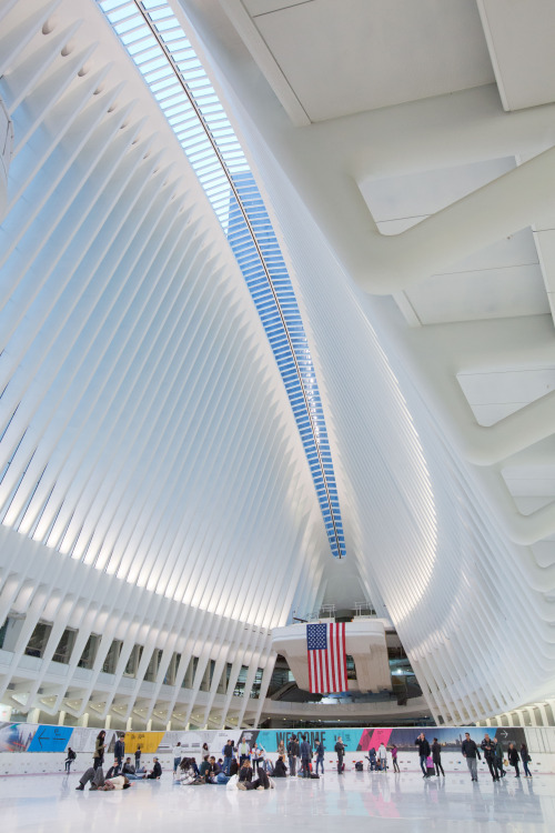 iheartmyart: Architect Santiago Calatrava’s World Trade Center Transportation Hub aka the