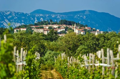 traveltoslovenia:STANJEL, Slovenia - a picturesque and very unique Slovenian village located on the 