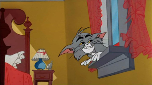itsyamtastic:  chuck jones gives tom some the best expressions ashd;dj  Chuck Jones Tom and Jerry is the best Tom and Jerry.