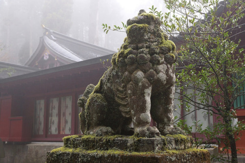 quiet-nymph:    Photography © Tokyo Views   