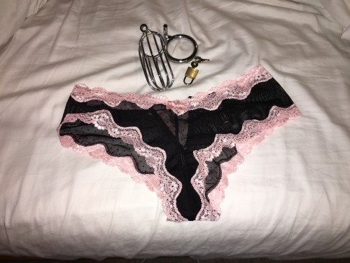 amarriedsissy:  mistresswithsissy:  Came out of the shower and mistress has this laid out for me, to wear under my clothes for thanksgiving ;-)   Very sissy.  Very cuckold. http://amarriedsissy.blogspot.com