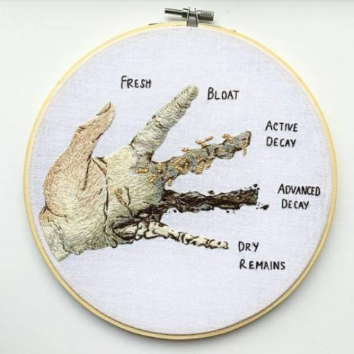 Stages Of DecompositionEmbroidery By @calicoranger