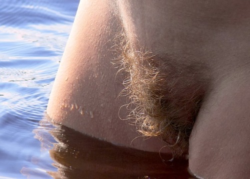 ken-chan-11:  hairpi:  Happy HairPi Day!  Beautiful bushes!!! 