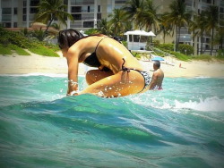 surfing-girls:  Surf GirlSurfing Girls Twitter