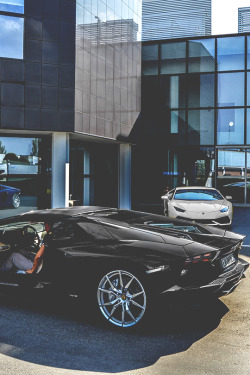 modernambition:   New Whip | Instagram  