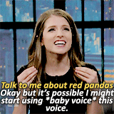 anna-kendrickarchive:  Anna talking about red pandas on Late Night with Seth Meyers
