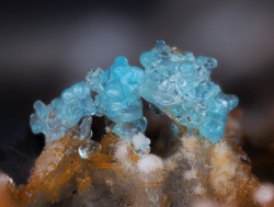 underthescopemineral:  Aragonite, Opal (Var: