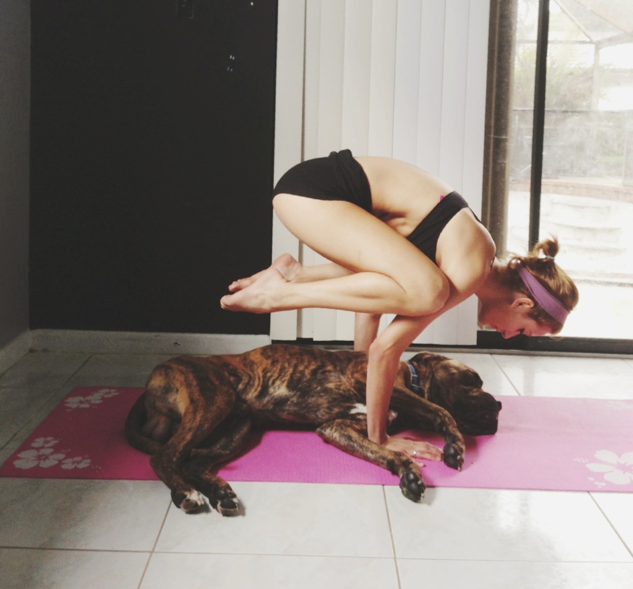 yoga-pilates-love:  earnthatsweat:  ughhhfuckkk:  My boyfriend gave Murphy and I