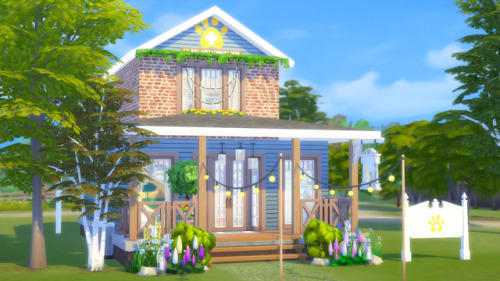 windyearth: sunny vet  ☀️ 47,429$ l 20x30 cc free l speed buildDownloadorigin ID: Rahmax1 