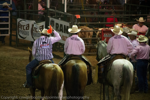 county fair