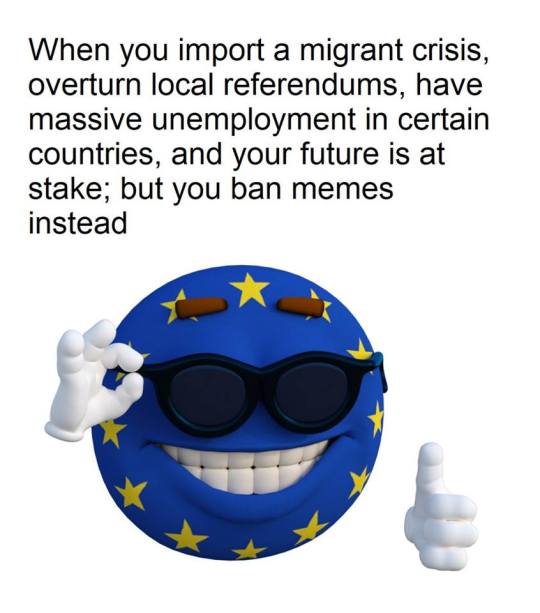 Article 13 Passed
