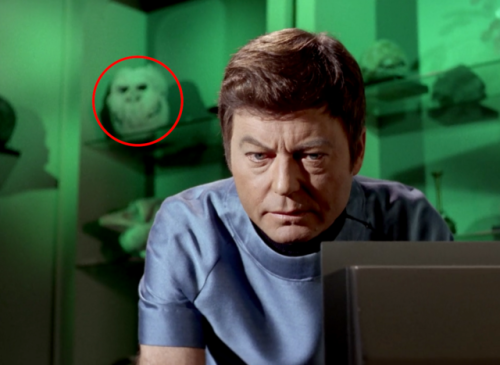 bones why is there a goddamned furby in your office