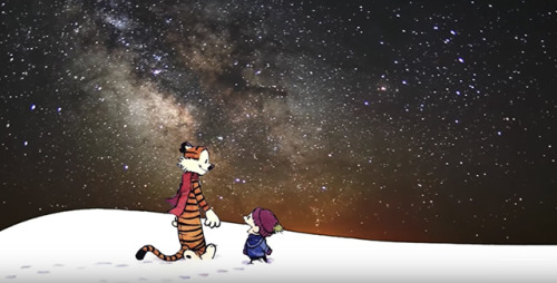 calvin and hobbes