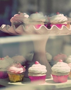 CUPCAKES!