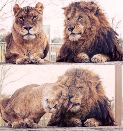 Relationship goals