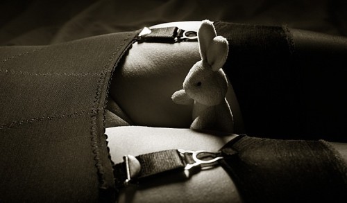 redheadedcnt: visuallydominated: sarahtimpson: Oh bunny ! Is that bunny headed down the rabbit hole?