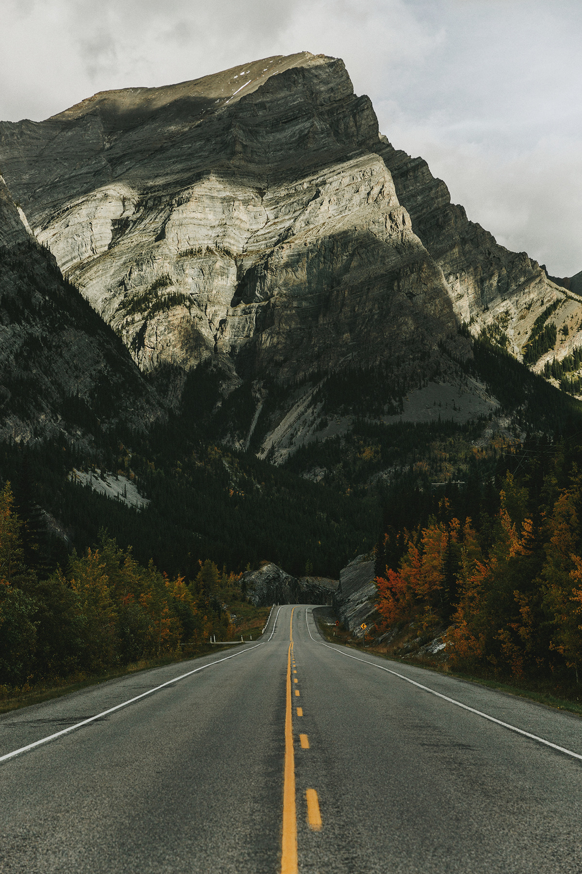 chrisamat: Kananaskis, AB - www.chrisamat.com 