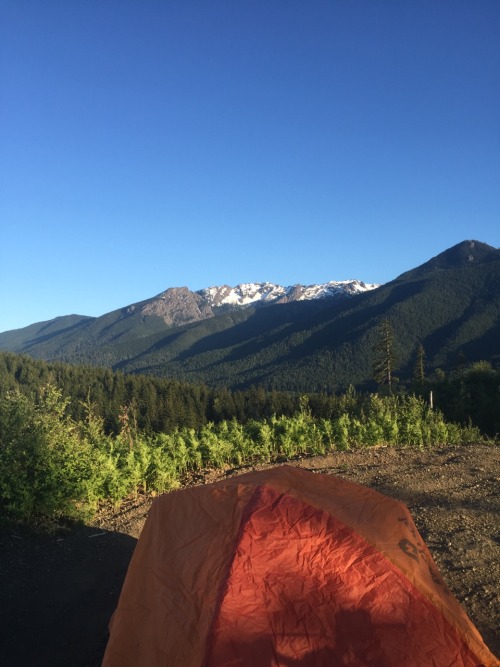 Me and @quadjunky took the quads out and camped at our favorite lookout. Good little test to see how riding with a pack feels. Chilled and watched town with some cold beers