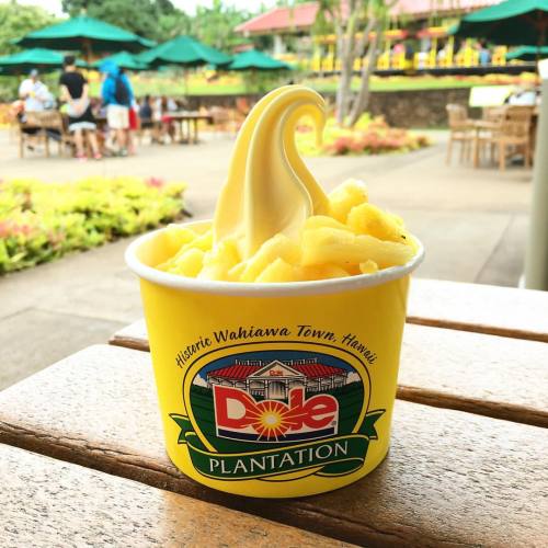 Dole Whip #dole #pineapple #Hawaii #Oahu (at Dole Plantation)