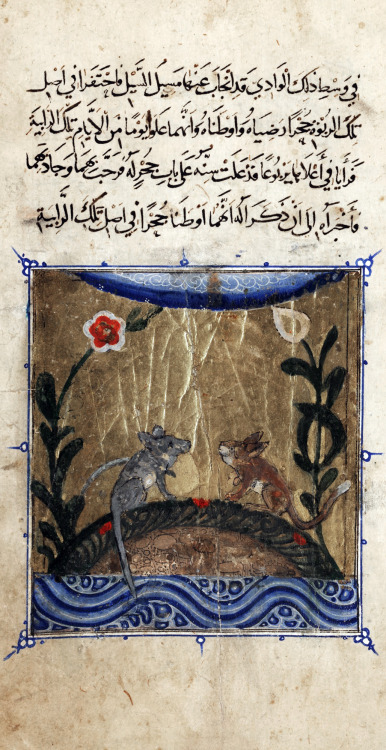 speciesbarocus:Sulwan Al-Muta'a (Consolation of the Prince over the Hostility of his Subjects) (c. 1