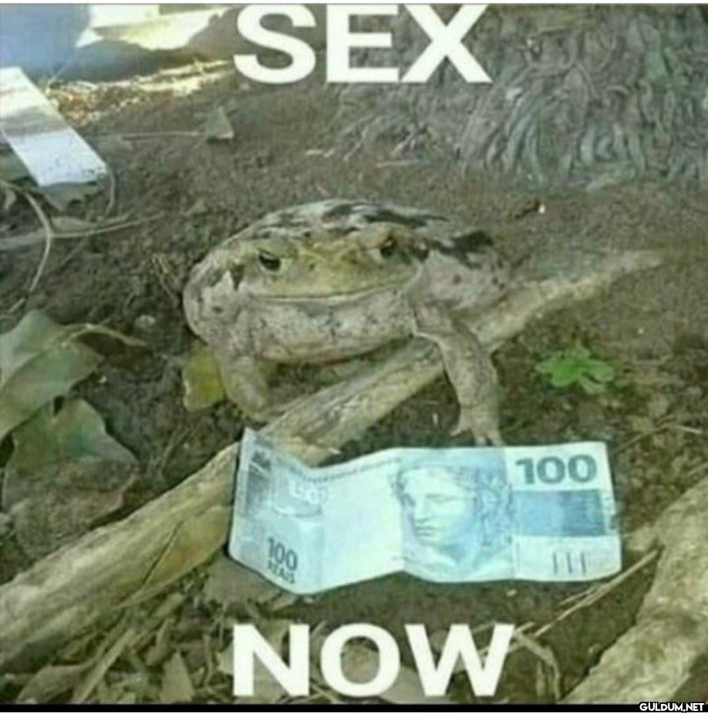 SEX 100 NOW 100 THE   Kaynak