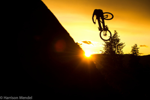 bikes-and-trees:  Bas Van Steenbergen - Sunset ride.  www.pinkbike.com/photo/8073914/