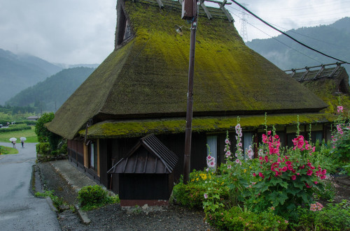 uroko:Miyama, Kyoto / 美山（京都）